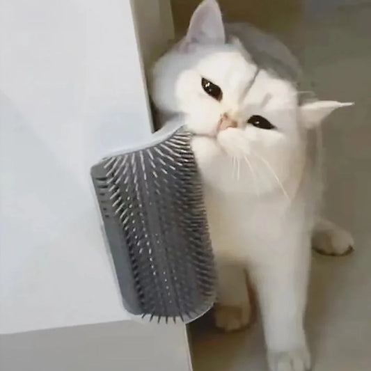 Self Groomer Massage Comb with Catnip Cat Face Scratcher